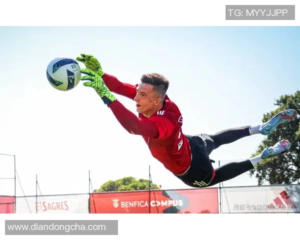 施坦尼斯与本菲卡对决前瞻分析及比赛结果预测探讨